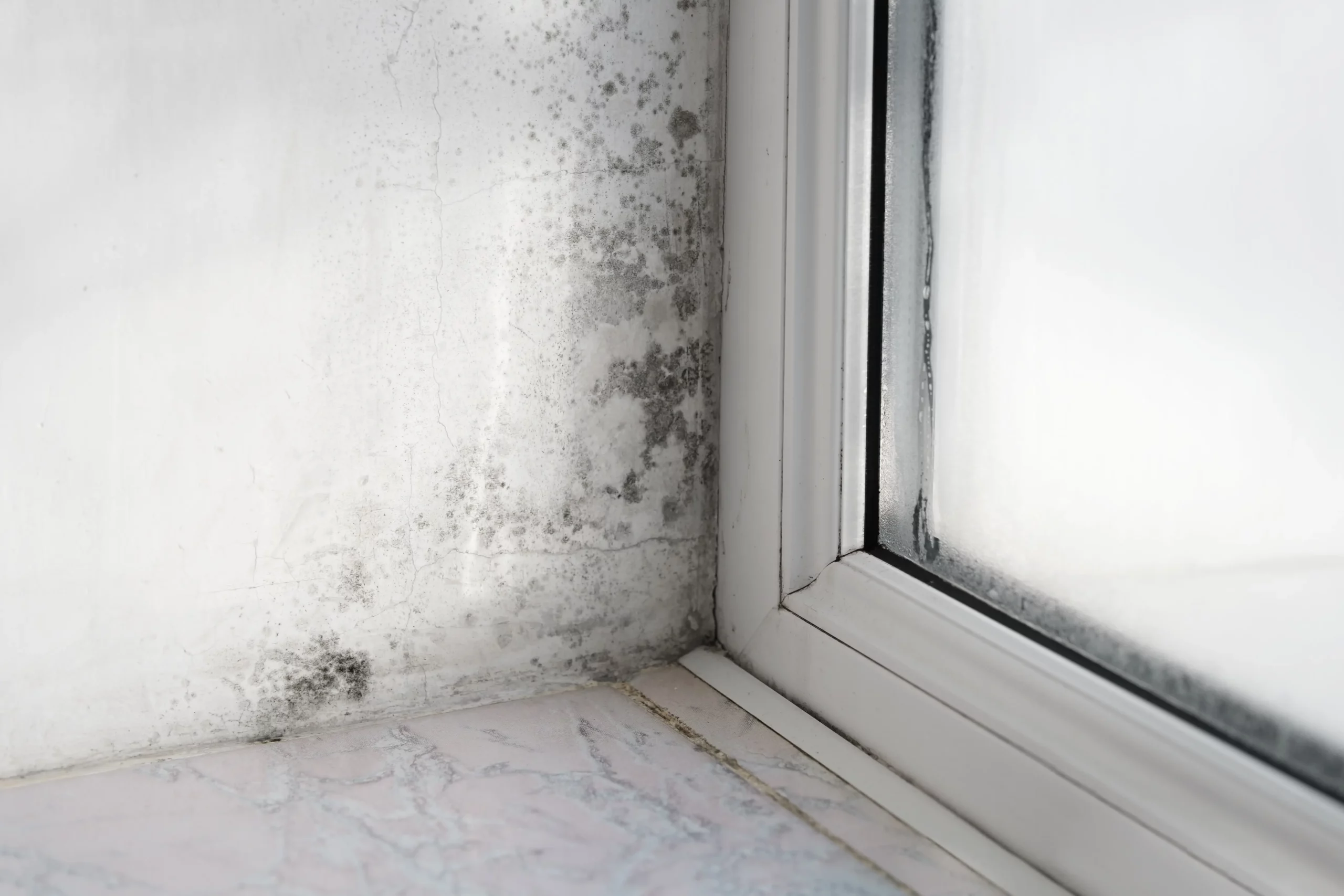 Penyebab Terjadinya Sick Building Syndrome